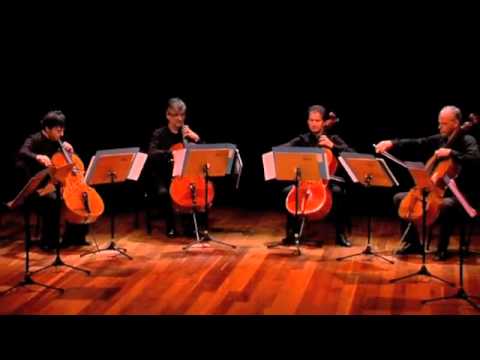 D. Popper - Polonaise en concert per 4 violoncelli